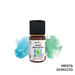 MINT ANTARTIKA AROMA DELIXIA VAPORART - Freschi