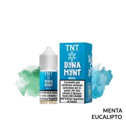 DYNA MYNT MINI PREMIX TNT VAPE - Mini Mix 'n vape