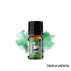 XXX AROMA IT'S A MINT RELOAD VAPE - Freschi