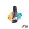 MANGO LIQUIDO RICARICA SHAKING EB6000 ELFBAR 10 ML - Pod precaricate