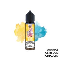 ANEY PREMIX JUICE DYPRINTECH - Mix 'n vape