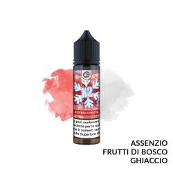 ASSENZIO E FRUTTA PREMIX K2 DYPRINTECH - Mix 'n vape