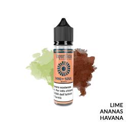 HAVANA PINEAPPLE PREMIX MIND SOUL VAPORIFICIO - Mix 'n vape