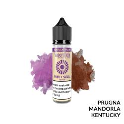 KENTUCKY PLUM PREMIX MIND SOUL VAPORIFICIO - Mix 'n vape