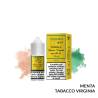 VIRGINIA E MINT MINI PREMIX TWENTY NOTES TNT VAPE - Mini Mix 'n vape