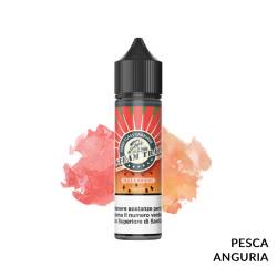 BELLS & WHISTLES PREMIX STEAM TRAIN - Mix 'n vape