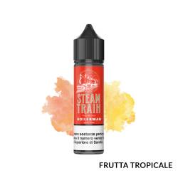 BOILERMAN PREMIX STEAM TRAIN - Mix 'n vape