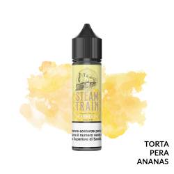 EXPRESS PREMIX STEAM TRAIN - Mix 'n vape