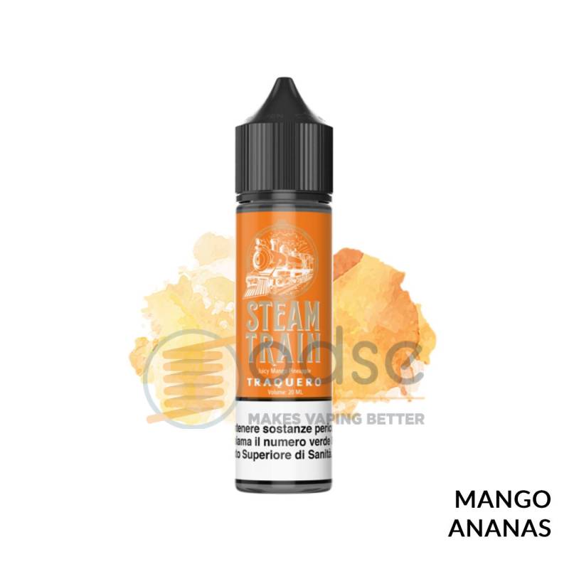 TRAQUERO PREMIX STEAM TRAIN - Mix 'n vape TRAQUERO PREMIX STEAM TRAIN - Mix 'n vape