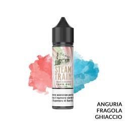 TURN OUT PREMIX STEAM TRAIN - Mix 'n vape