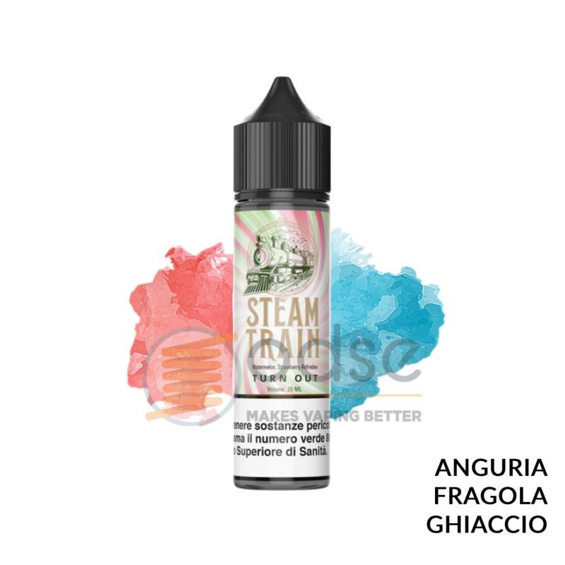TURN OUT PREMIX STEAM TRAIN - Mix 'n vape