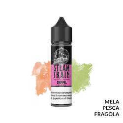 DERAIL PREMIX STEAM TRAIN - Mix 'n vape