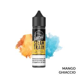 GHOST TRAIN PREMIX STEAM TRAIN - Mix 'n vape
