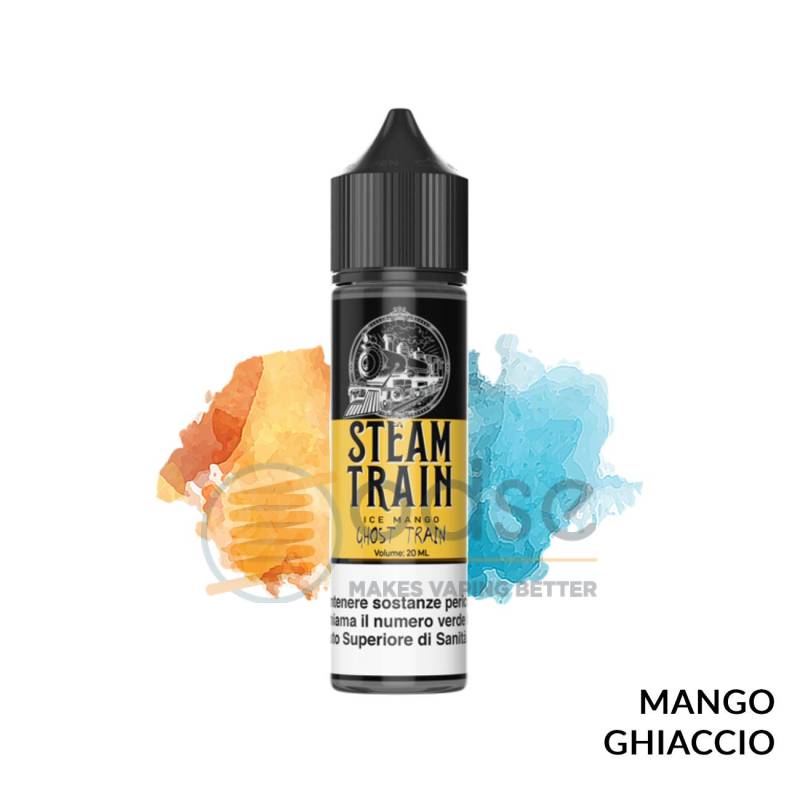 GHOST TRAIN PREMIX STEAM TRAIN - Mix 'n vape