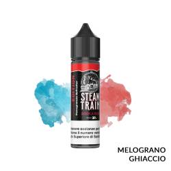 BOOK A RIDE PREMIX POD EDITION STEAM TRAIN - Mix 'n vape