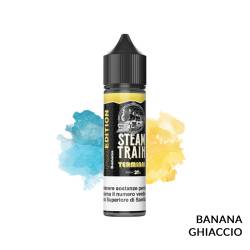TERMINAL PREMIX POD EDITION STEAM TRAIN - Mix 'n vape