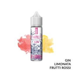 PINK LEMONADE PREMIX AMALFI GIN RELOAD VAPE - Mix 'n vape