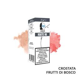 ROUTE 66 LIQUIDO LOP LIQUIDS 10 ML - 10 mL