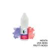 RED STYLE AROMA LOP LIQUIDS - Fruttati