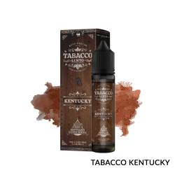 KENTUCKY PREMIX TABACCO LENTO KING LIQUID - Mix 'n vape