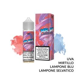 MR. BLUE PREMIX FRUITY TNT VAPE - Mix 'n vape