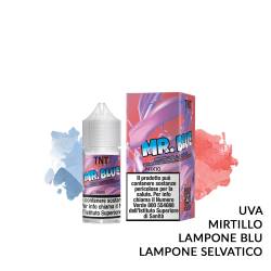 MR. BLUE MINI PREMIX FRUITY TNT VAPE