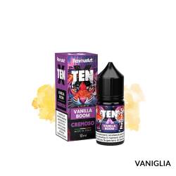 VANILLA BOOM MINI PREMIX TEN X FLAVOURART