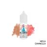 N. 4 MELA AROMA TRAVEL HISTORY MOD - Fruttati