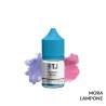 RAVEN BLUE MINI PREMIX T-JUICE - Mini Mix 'n vape