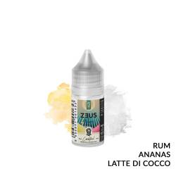 PINEAPPLE & COCONUT MILK MINI PREMIX ZEUS RUM RELOAD VAPE - Mini Mix 'n vape