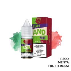 BERRY AND MINT AROMA AND SUPREM-E - Fruttati