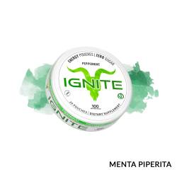 PEPPERMINT ENERGY CAFFEINE POUCH IGNITE