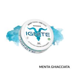 WINTERGREEN ENERGY CAFFEINE POUCH IGNITE
