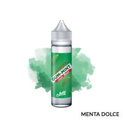 GUM MINT PREMIX JUSTY FLAVOR - Mix 'n vape