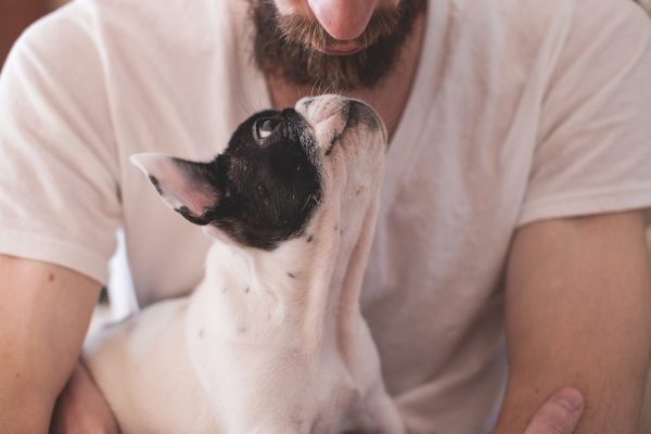 e-cig e pet